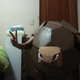 Illustration for article titled Man Celebrates Vacation with Low-Cost iPokémon/i Cosplay